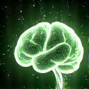 Cerebro estilizado con circuitos, representando salud cognitiva y neuroplasticidad.